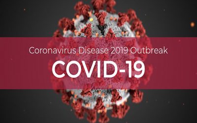 The Misc Provision (2020) Novel Coronavirus Act No 4 of 2020